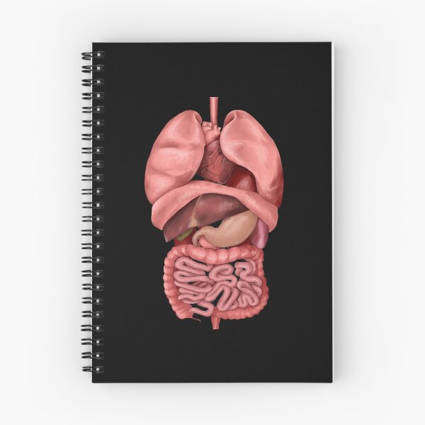 Item preview, Internal Organspng designed and sold by AliceDaigle.