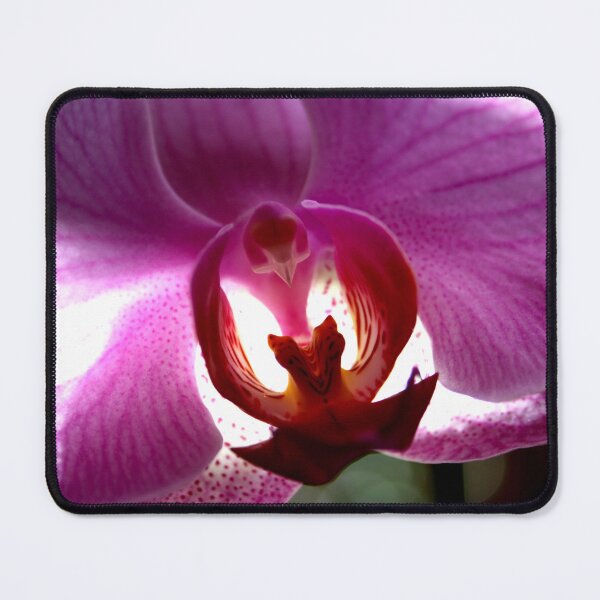 Item preview, Colorful Orchid designed and sold by Lee's Place.
