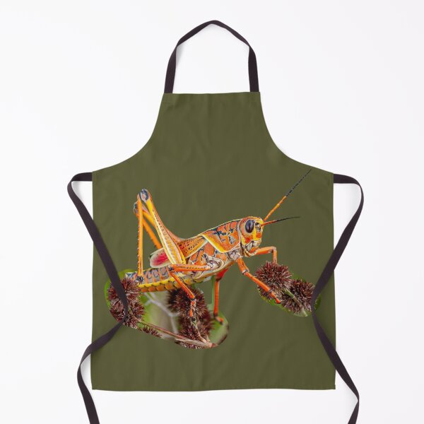 Item preview, Lubber Grasshopper  designed and sold by Dalyndigital Photography.