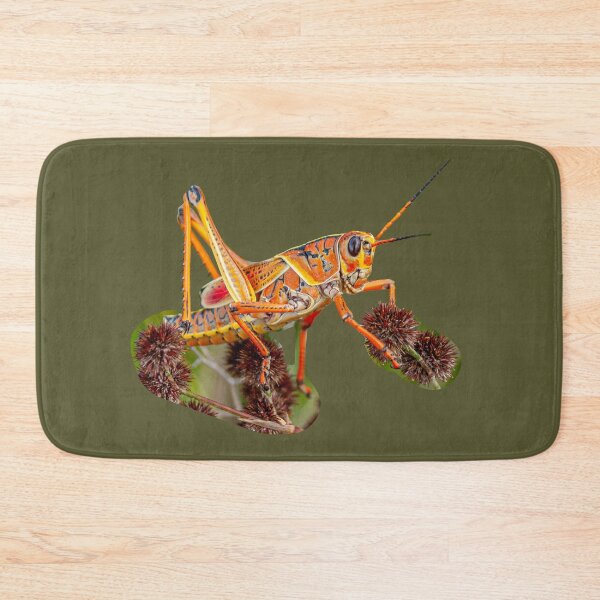 Item preview, Lubber Grasshopper  designed and sold by Dalyndigital Photography.