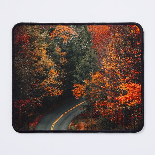 Item preview, Forest road in autumn designed and sold by OrionPhotograph.