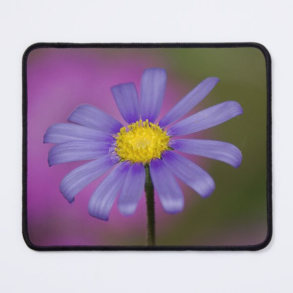 Item preview, Blue Daisy designed and sold by Kim Chi Thai.