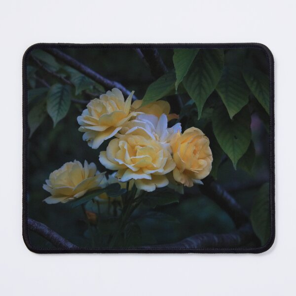Item preview, Embraced By Nature designed and sold by Mark.I.F Jarvis.