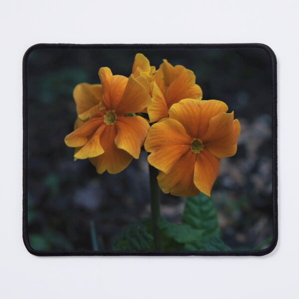 Item preview, Delicate designed and sold by Mark.I.F Jarvis.