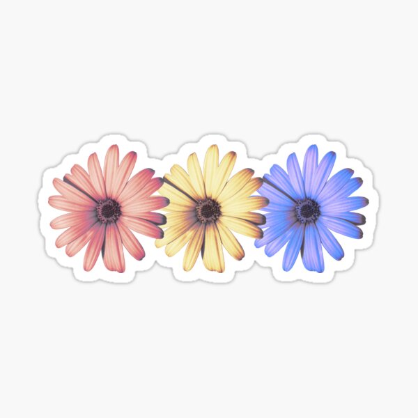 Daisies primary colors Sticker