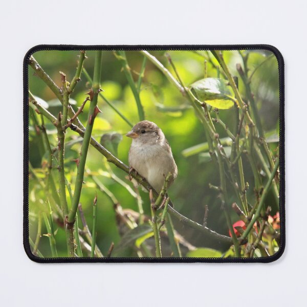 Item preview, Peacefully Watching designed and sold by Mark.I.F Jarvis.