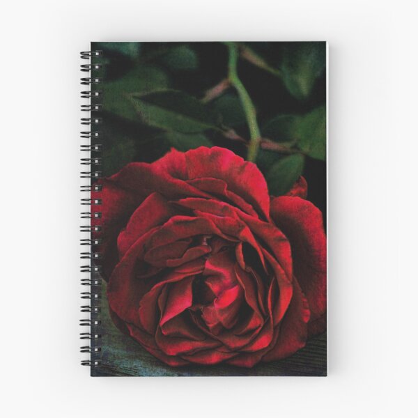 Item preview, Rose 385 designed and sold by secretgardener.