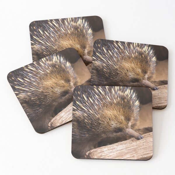 Artikelvorschau, Echidna Tasmanien entworfen und verkauft von Cosmic Fox Photography.