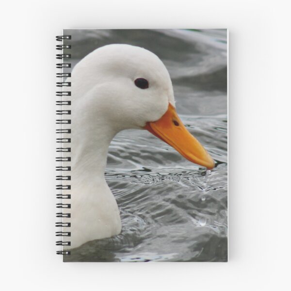 Artikelvorschau, Reine und elegante weiße Ente entworfen und verkauft von Colourful Wonderful.