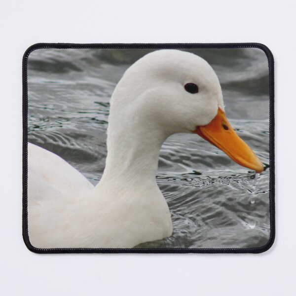 Item preview, Pure and elegant white duck designed and sold by Colourful Wonderful.