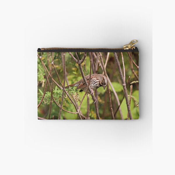Item preview, Song sparrow designed and sold by Linda Crockett.