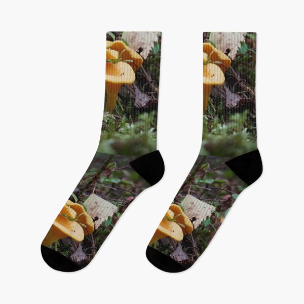 Item preview, Golden chanterelle trio designed and sold by Jouko Lehto Photography.