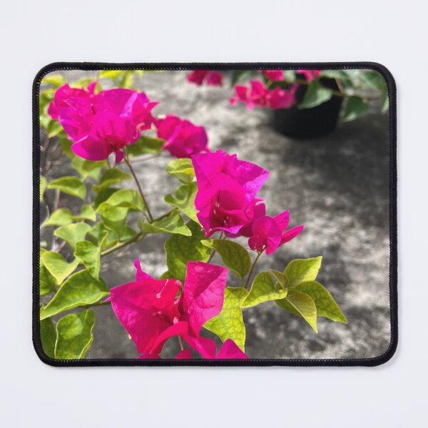 Item preview, Magenta bougainvillea or paper flower, tropical floral designed and sold by Bird4771.