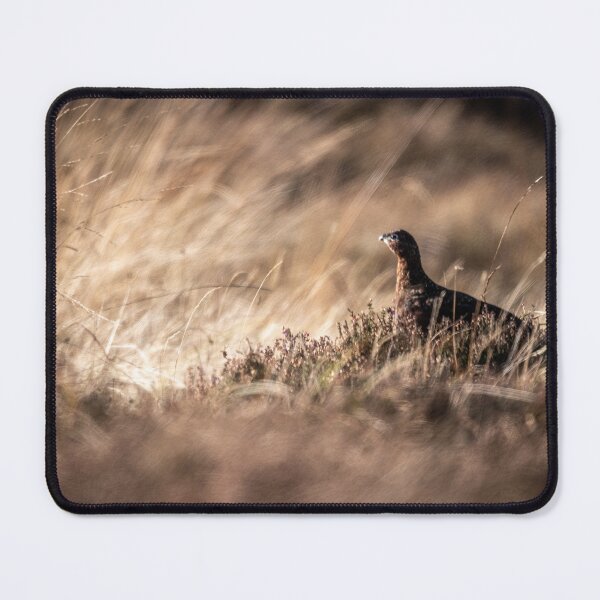 Item preview, Grouse in Hiding designed and sold by Flyal4.