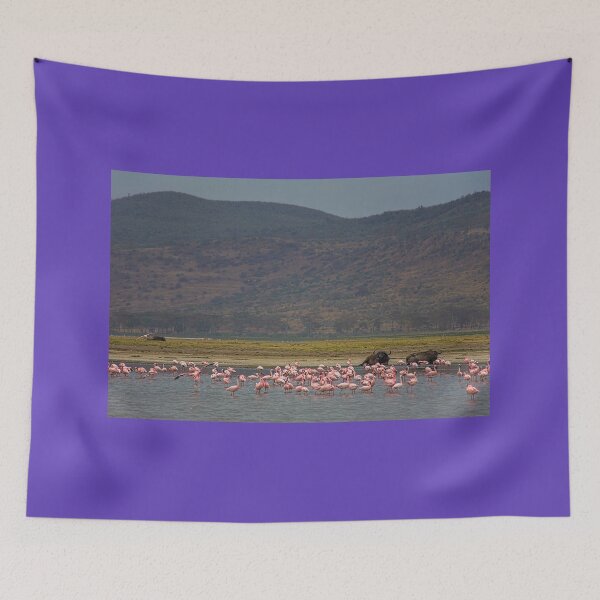Item preview, Kenya. Lake Nakuru National Park. Flamingos with Buffalos in the background. designed and sold by vadim19.