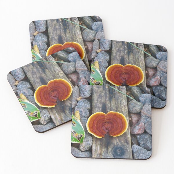 Item preview, Colourful fungus designed and sold by Shulie1.