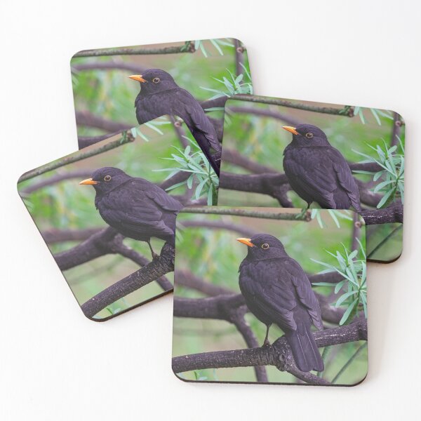 Item preview, male common blackbird on a branch designed and sold by Martin Leber.
