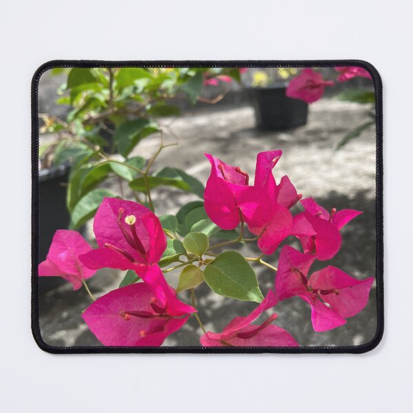 Item preview, Shocking pink bougainvillea or paper flower, tropical floral designed and sold by Bird4771.