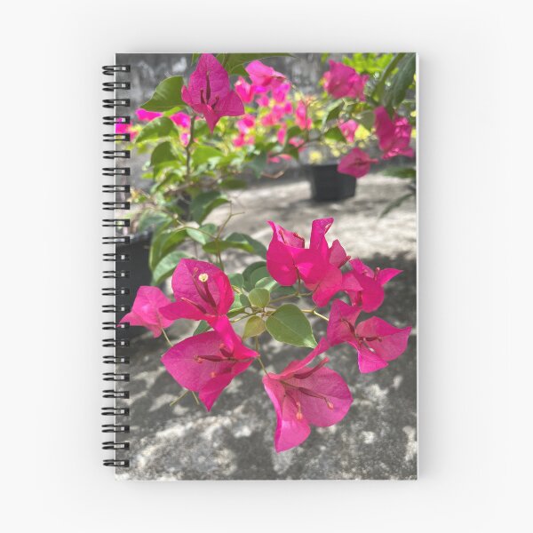 Item preview, Shocking pink bougainvillea or paper flower, tropical floral  designed and sold by Bird4771.