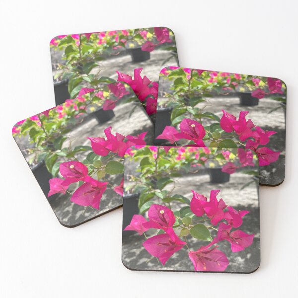 Item preview, Shocking pink bougainvillea or paper flower, tropical floral  designed and sold by Bird4771.