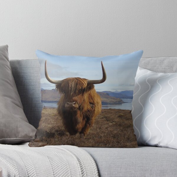 Item preview, Highland Coo designed and sold by jmnicolson.