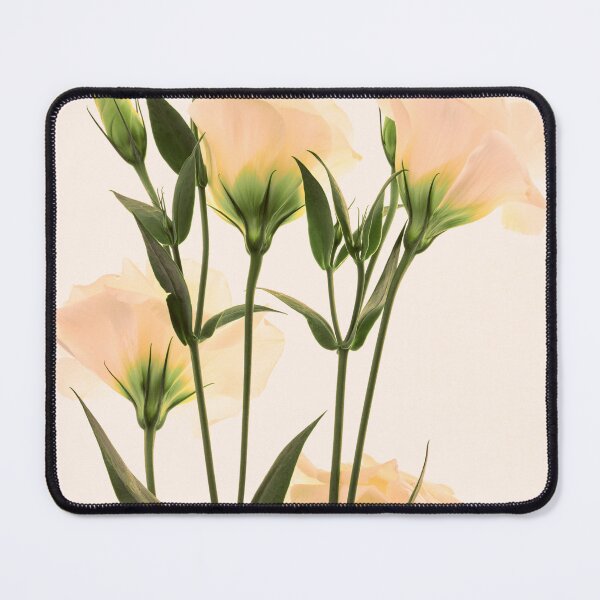 Item preview, Eustoma flowers designed and sold by IgorKovalenko.