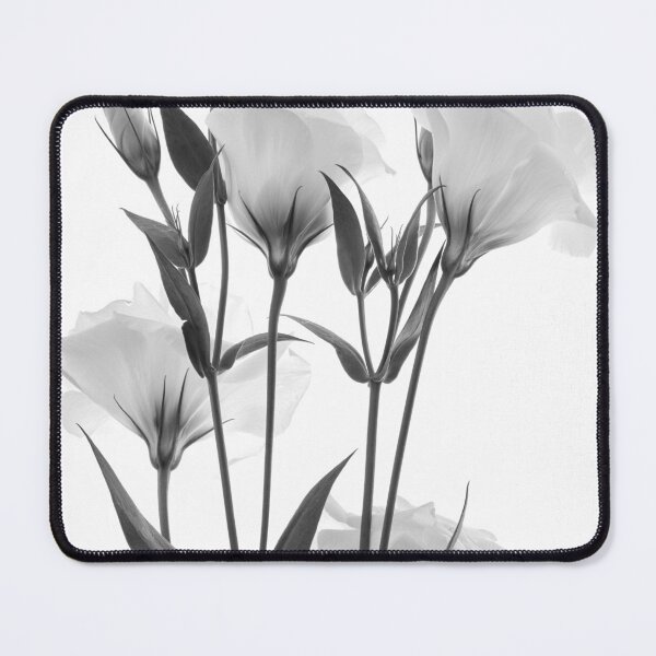 Item preview, Eustoma flowers designed and sold by IgorKovalenko.