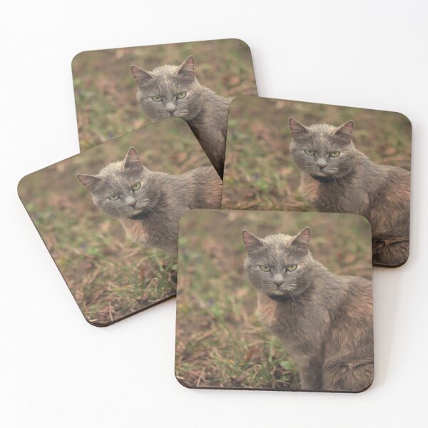 Item preview, Portrait of cute brown cat designed and sold by olena2552.
