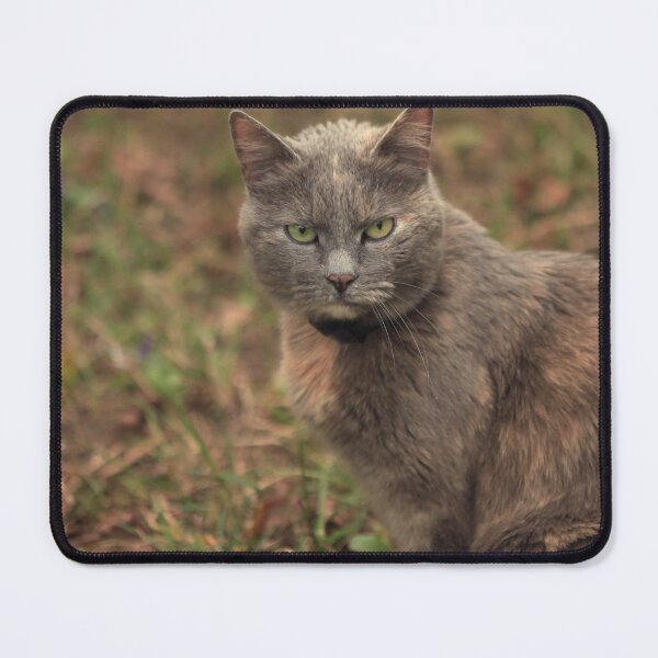 Item preview, Portrait of cute brown cat designed and sold by olena2552.