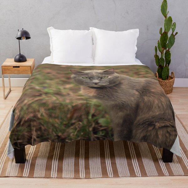 Item preview, Portrait of cute brown cat designed and sold by olena2552.