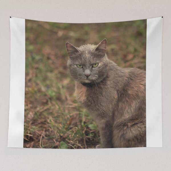 Item preview, Portrait of cute brown cat designed and sold by olena2552.