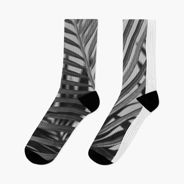 Item preview, palm leaves designed and sold by IgorKovalenko.