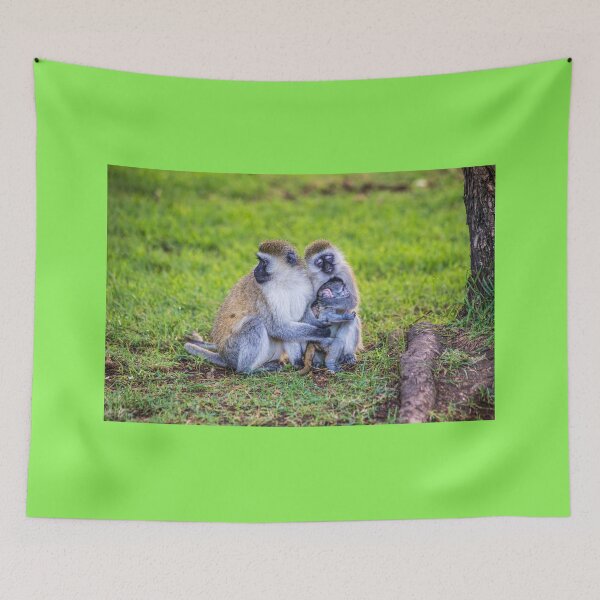Item preview, Kenya. Lake Naivasha Sopa Lodge. Vervet Monkeys. Sisterly Love. designed and sold by vadim19.