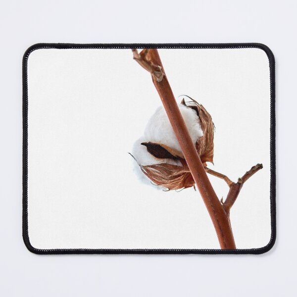 Item preview, cotton flower designed and sold by IgorKovalenko.