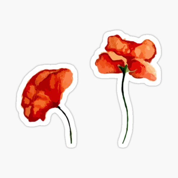 blood orange poppies Sticker