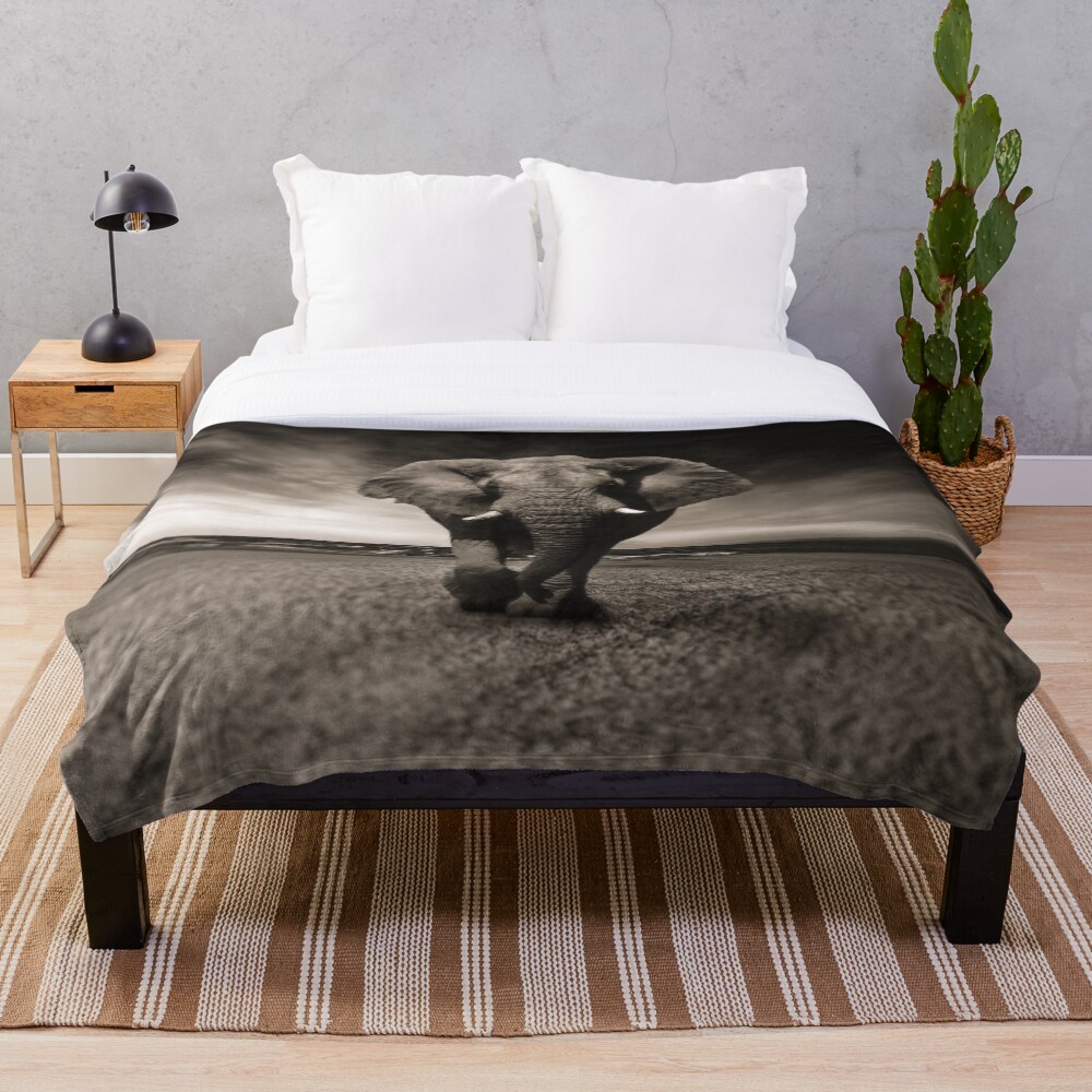 Elephant Black and White Photo-realistic Bull Elephant Print Throw Blanket