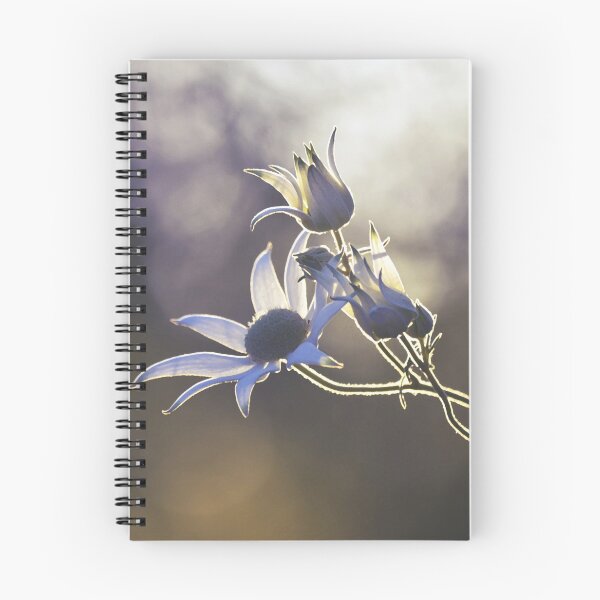 Item preview, Woodland Wildflowers designed and sold by Cloudlingpics.