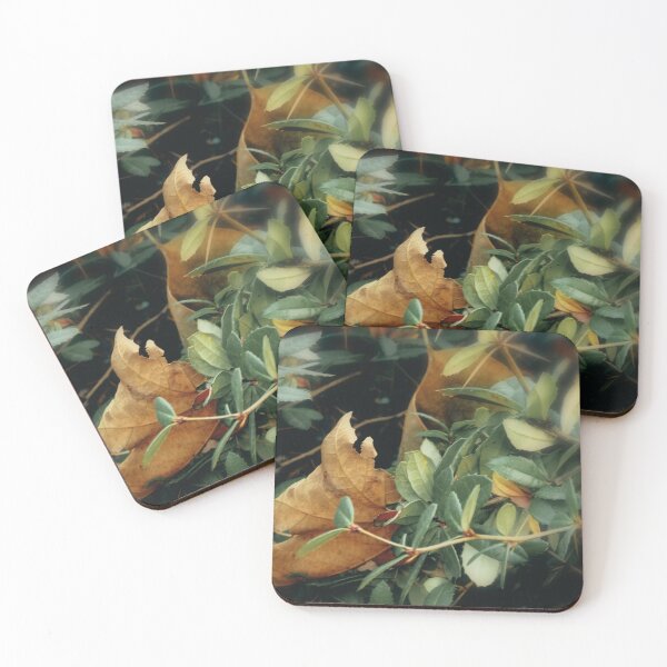 Item preview, "Contrast Play: Green Thorny Shrub Embracing Two Yellowed Withered Leaves" designed and sold by Branislava Tir .