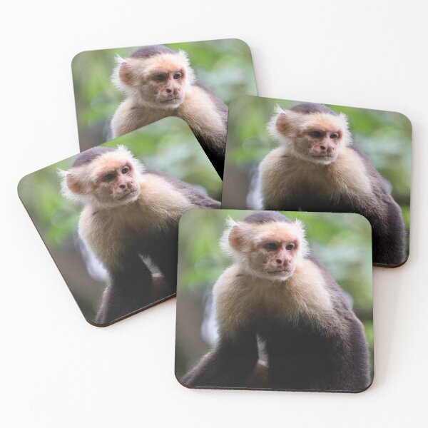 Item preview, White-faced Capuchin designed and sold by TigerGirl808.