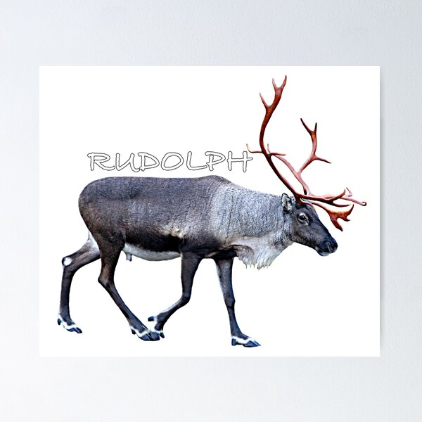 Item preview, Rudolph designed and sold by FotoJarmo.
