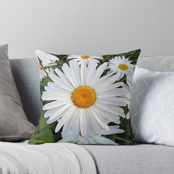Item preview, Olympia White Daisy designed and sold by Robert Meyers-Lussier.