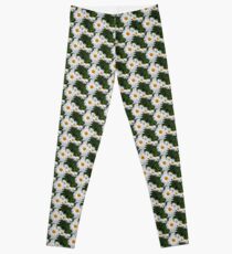 Olympia White Daisy Leggings