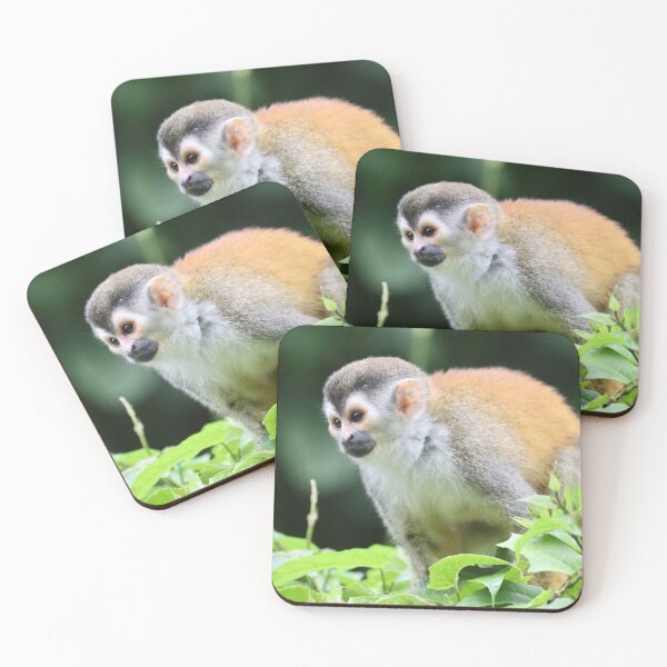 Item preview, Squirrel Monkey designed and sold by TigerGirl808.