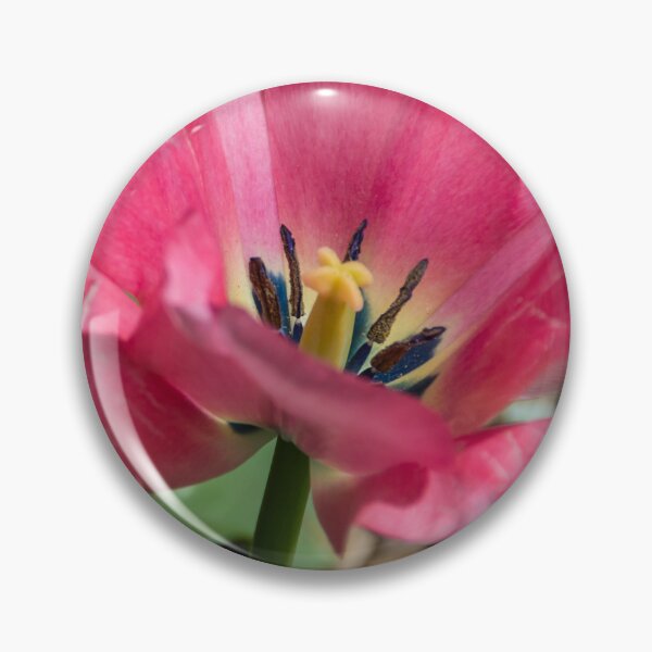 Item preview, Double Pink Tulips designed and sold by Debra Martz.