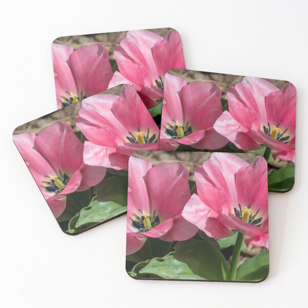 Item preview, Double Pink Tulips designed and sold by Debra Martz.
