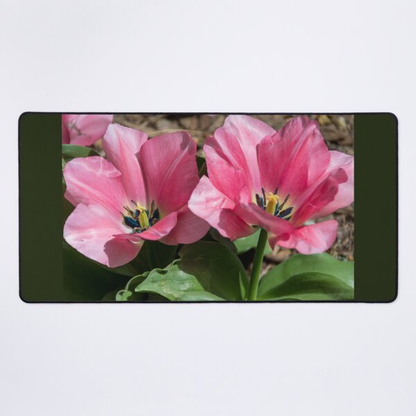 Item preview, Double Pink Tulips designed and sold by Debra Martz.