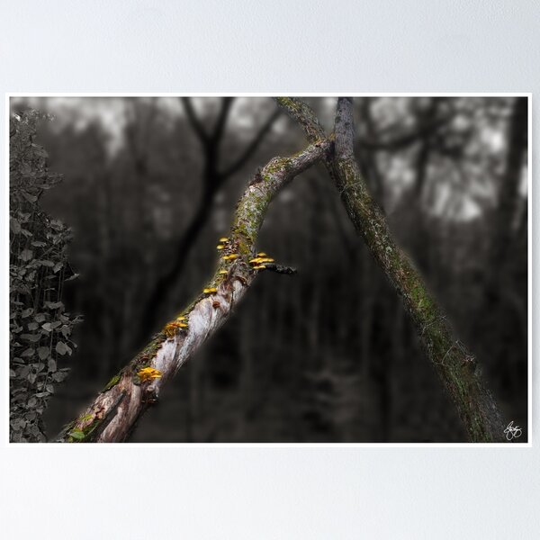Item preview, Forestalling the Downfall designed and sold by Wayne King.