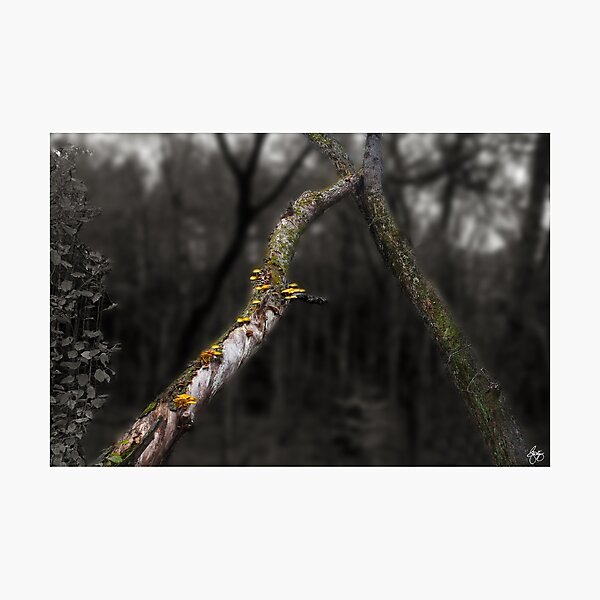 Item preview, Forestalling the Downfall designed and sold by Wayne King.