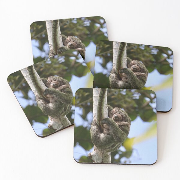 Item preview, Sloth mom and baby designed and sold by TigerGirl808.