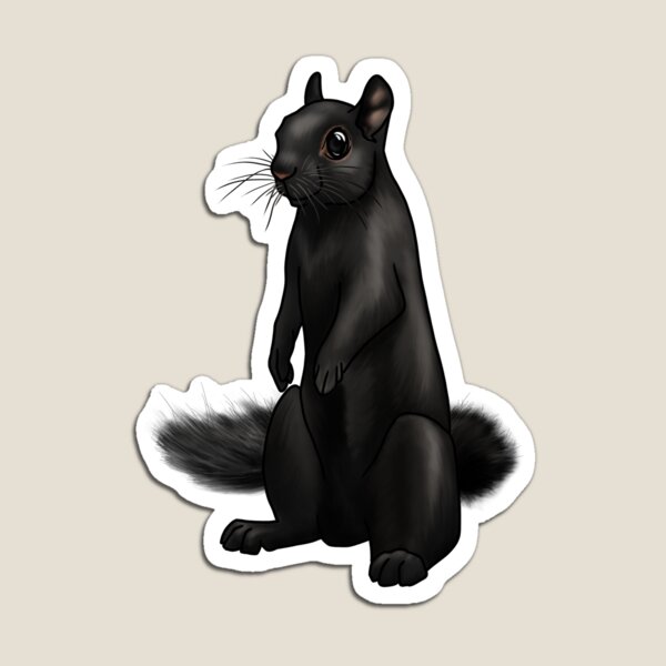 Item preview, Black Squirrel designed and sold by P_Vask.